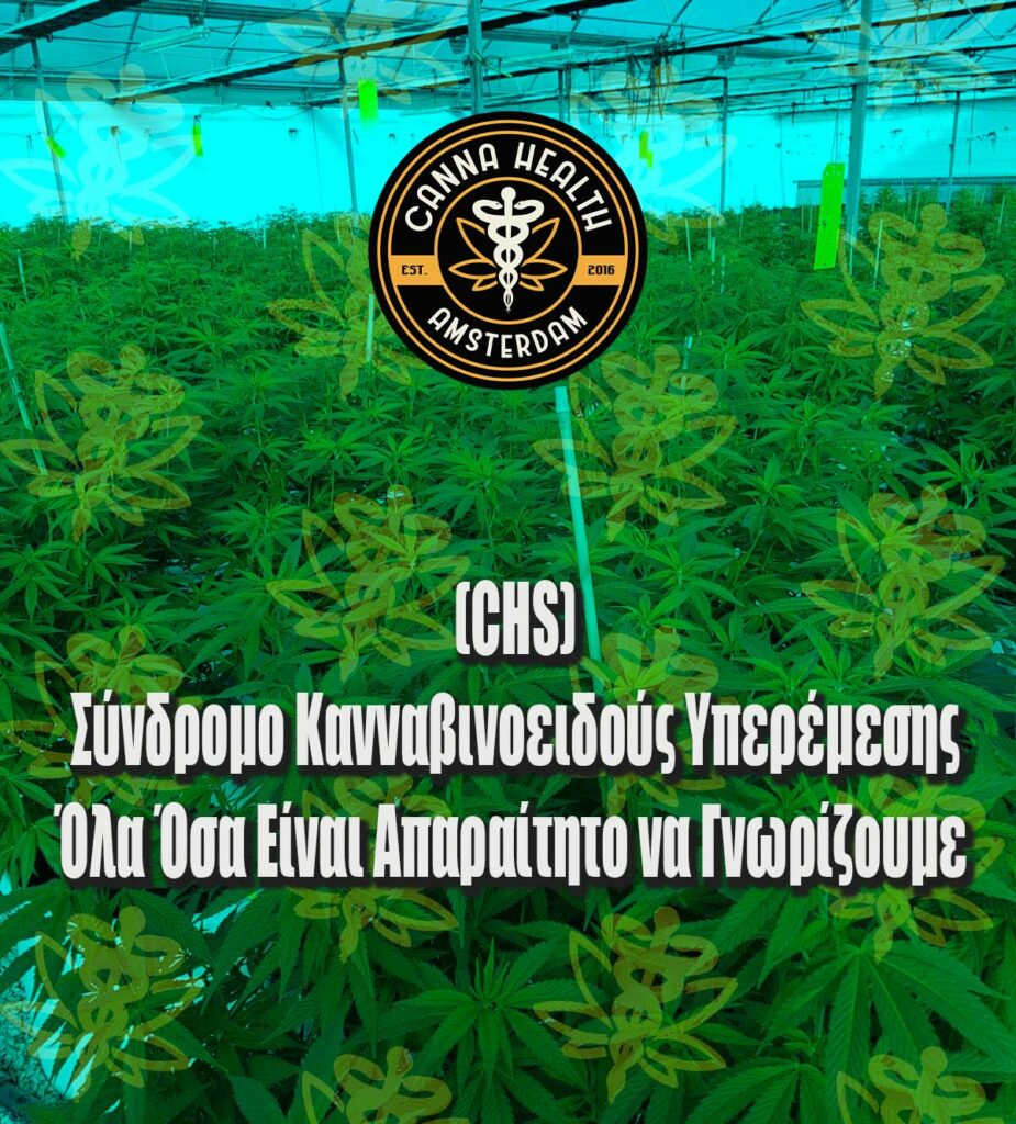 CHS - Canna Health Amsterdam
