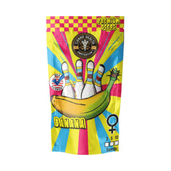 Banana OG Hybrid Feminized Seeds - Canna Health Amsterdam