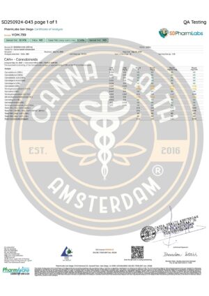 VEGAN GUMMY: GREEN APPLE – Full Spectrum 50 mg - Image 2