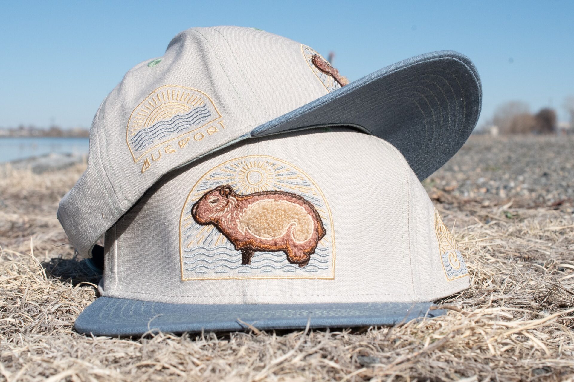 485873656_1114637320705963_1902366510203440822_n Mugwort Capybara Snapback Hat - Image 1