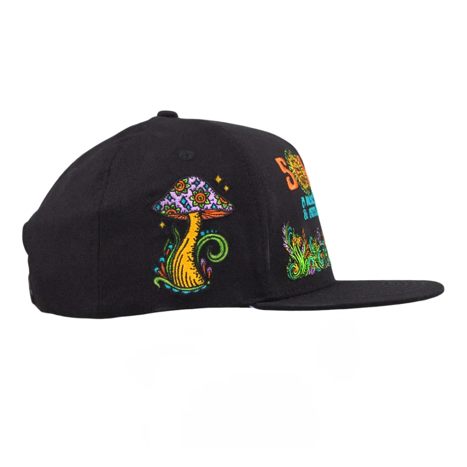 Solshine Reverie Black Snapback Hat - Image 5