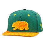 Teapot Removable Bear Green Snapback Hat